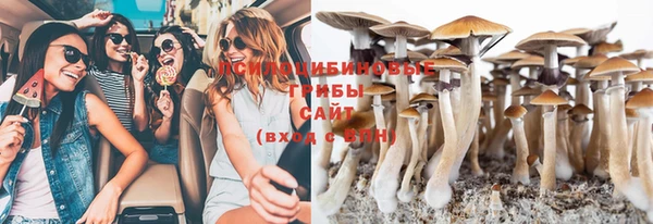 спиды Михайлов