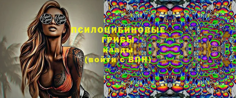 Псилоцибиновые грибы Magic Shrooms  Кохма 