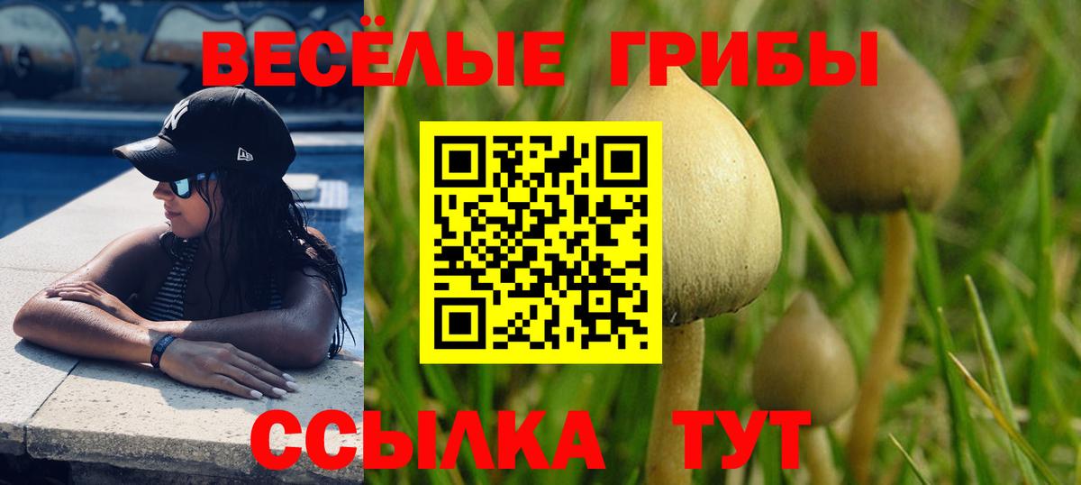 где продают   Галлюциногенные грибы Psilocybe  Псилоцибиновые грибы Cubensis  Вход с VPN  Кохма 