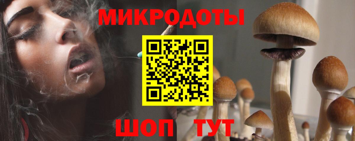 Галлюциногенные грибы ЛСД Кохма